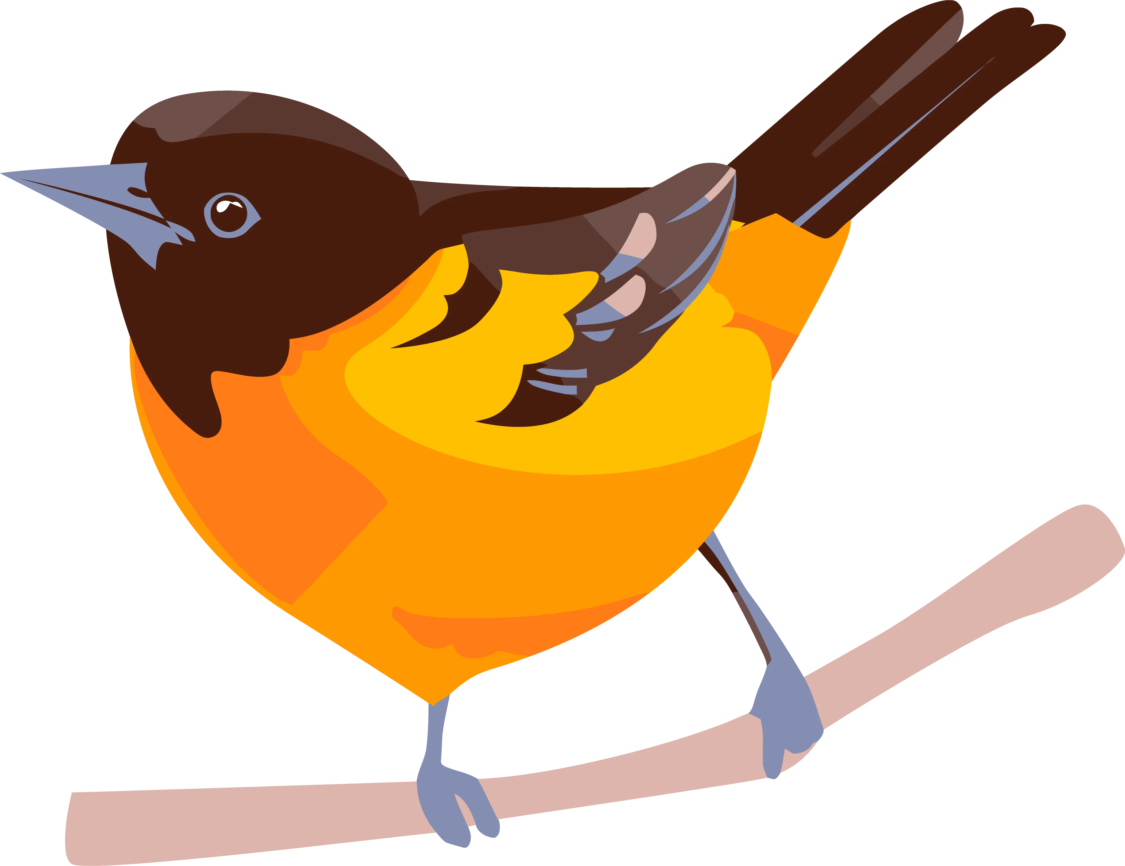 Fauna de la región